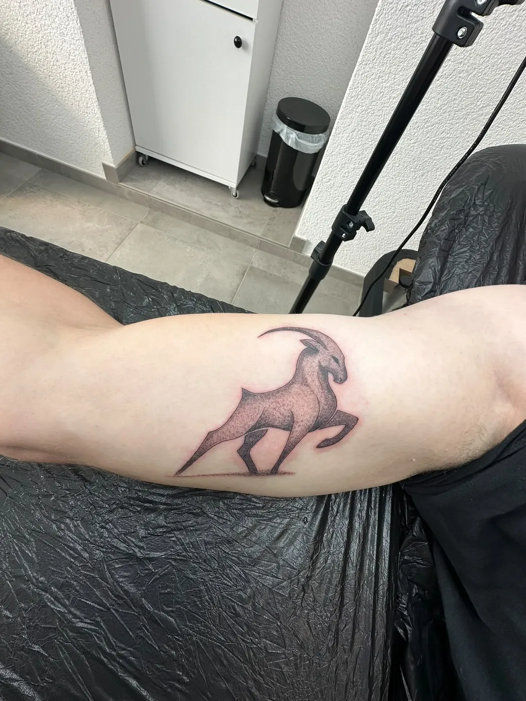Steinbock in Dotwork am Oberarm — Tschenky, Alpenstich Windischgarsten